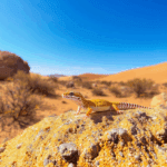 découvrez combien de temps un gecko léopard peut survivre sans nourriture et apprenez-en plus sur ses besoins alimentaires, son métabolisme et les facteurs qui influencent sa survie.