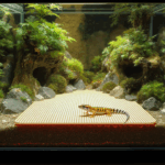 découvrez notre sélection des meilleurs tapis chauffants pour terrarium en 2025, spécialement conçus pour le bien-être de votre gecko léopard. offrez à votre reptile un habitat confortable et régulé en température grâce à ces équipements essentiels.