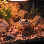 découvrez les meilleures options alimentaires pour votre gecko léopard en 2025. cette guide vous présente les insectes recommandés pour assurer une nutrition optimale à votre reptile, tout en favorisant sa santé et son bien-être.