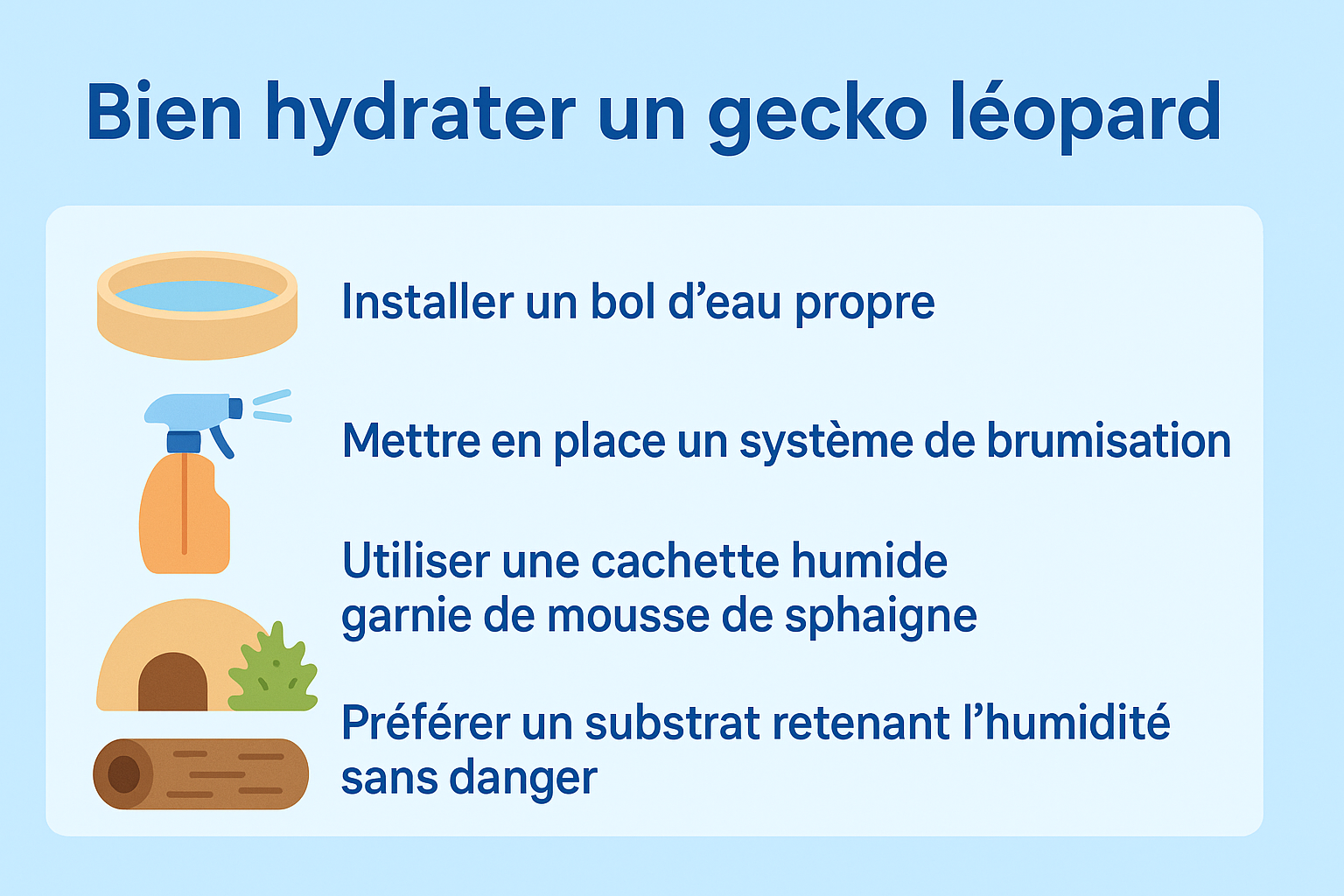 Infographie présentant 5 conseils clés pour hydrater un gecko léopard, avec icônes et couleurs flat design