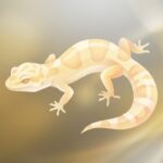 Gecko Léopard Albinos : 3 Souches & Prix 2026 - Image de couverture